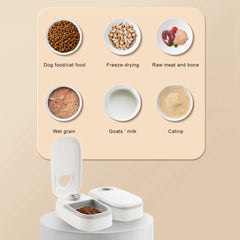 Stainless Steel Auto Pet Feeder