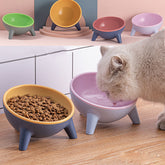 Nordic Raised Pet Feeding Bowls
