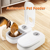Stainless Steel Auto Pet Feeder