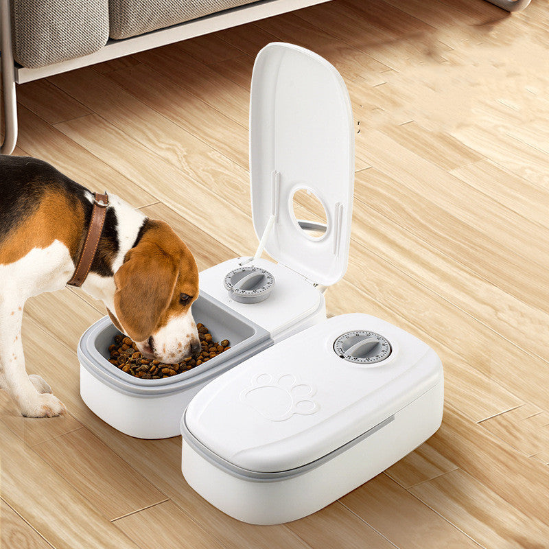 Stainless Steel Auto Pet Feeder